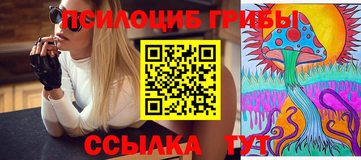 Новоуральск  Псилоцибиновые грибы GOLDEN TEACHER  Вход с VPN  Галлюциногенные грибы Psilocybe 